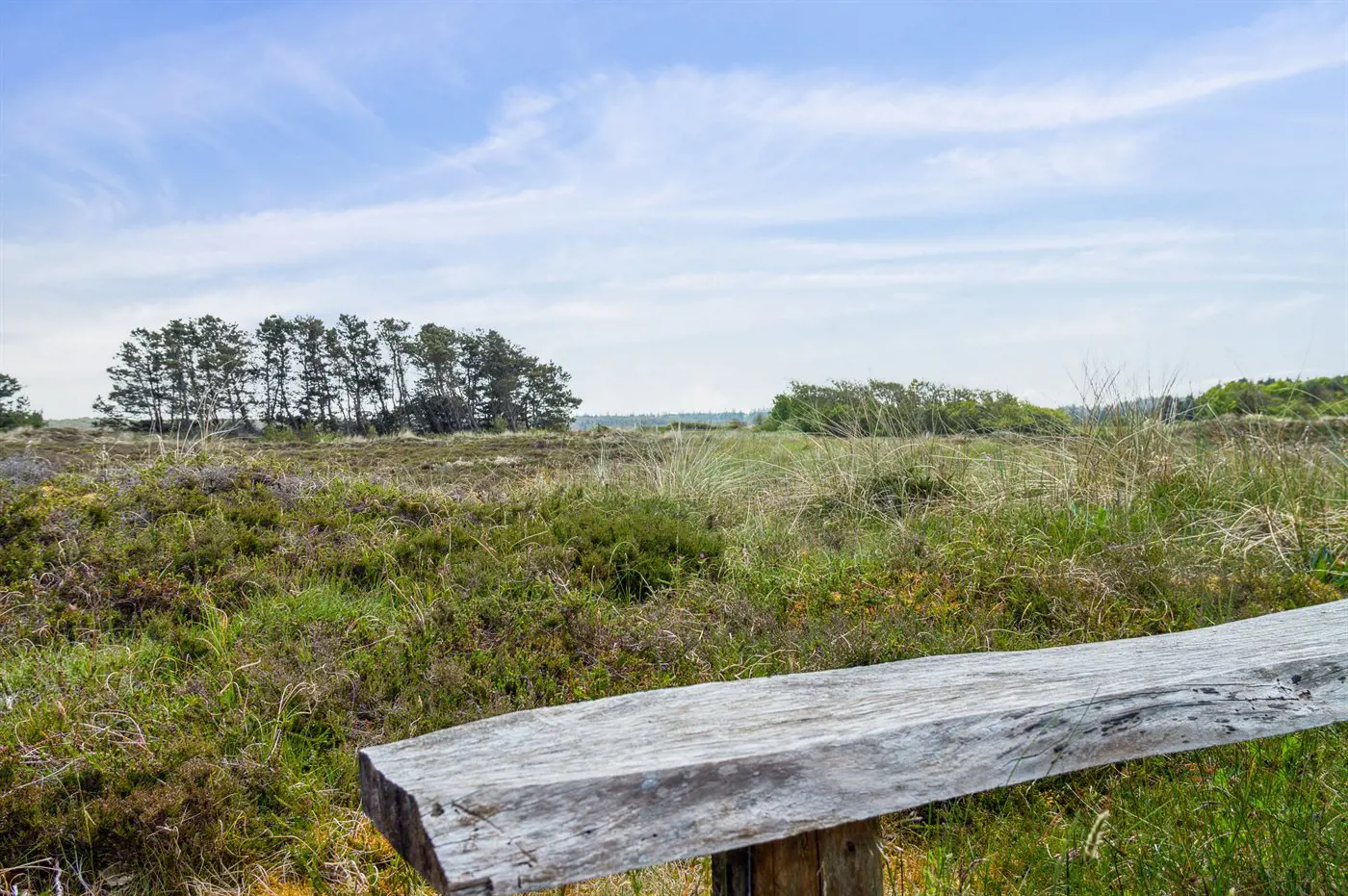 1269 practical detail